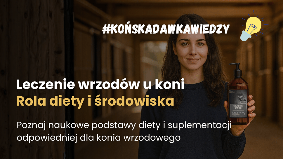 Jak rozpoznać i leczyć wrzody u koni? Żywienie w zapobieganiu wrzodom